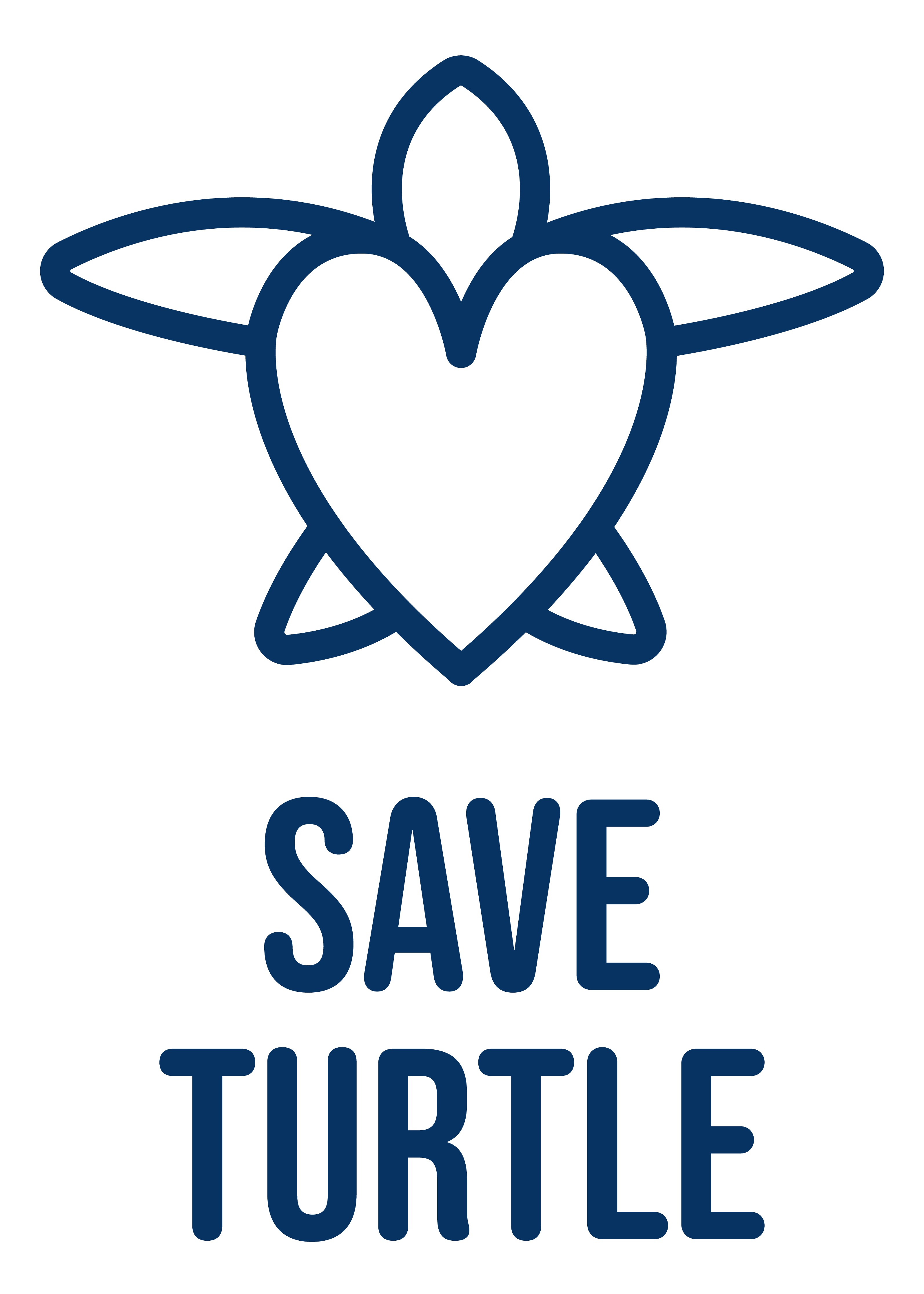 Save Turtle Logo